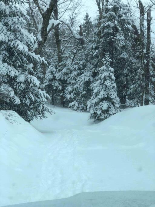 Chalet L'Erable Mont-Tremblant/Lac Superieur & Spa エクステリア 写真