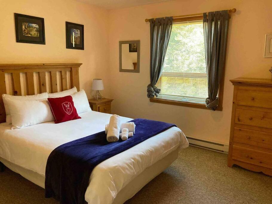 Chalet L'Erable Mont-Tremblant/Lac Superieur & Spa エクステリア 写真