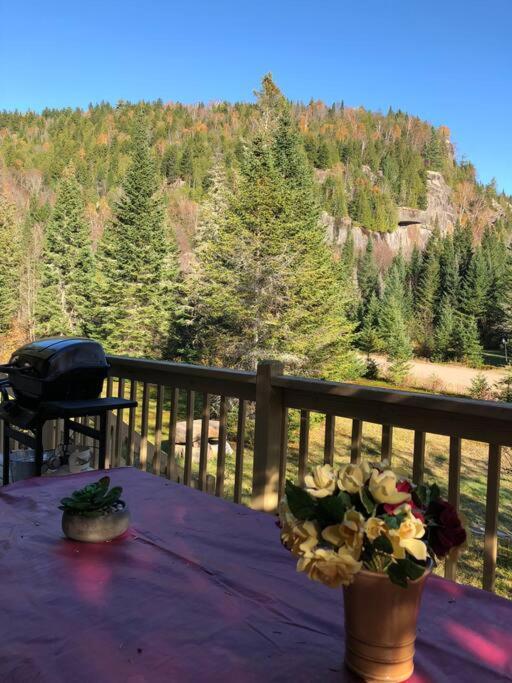 Chalet L'Erable Mont-Tremblant/Lac Superieur & Spa エクステリア 写真