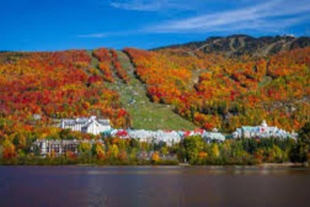 Chalet L'Erable Mont-Tremblant/Lac Superieur & Spa エクステリア 写真