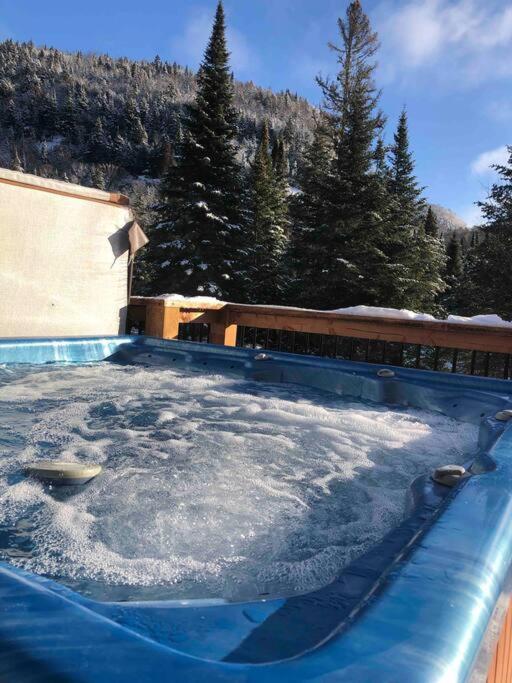 Chalet L'Erable Mont-Tremblant/Lac Superieur & Spa エクステリア 写真